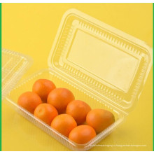 Пищевая Упаковка Производство прозрачных пластиковых пищевых контейнеров с делителем